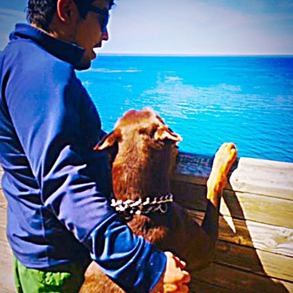 Meet your Posher, Nelson